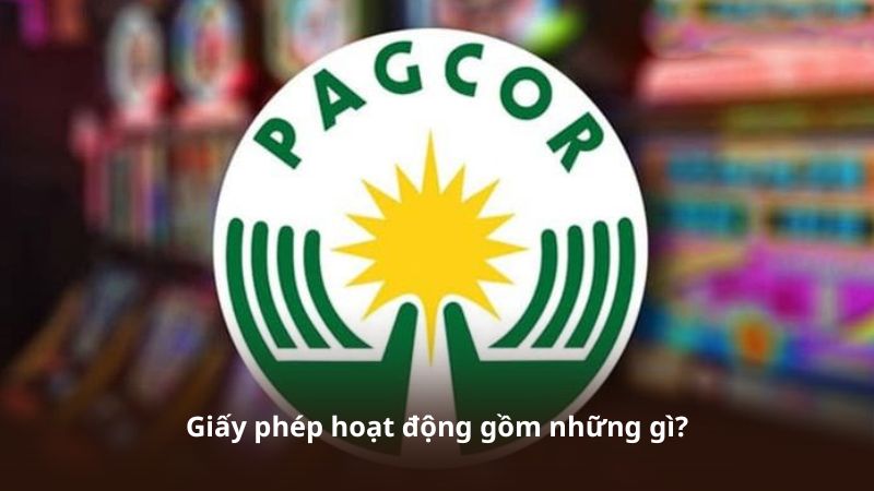 Giấy phép hoạt động gồm những gì?